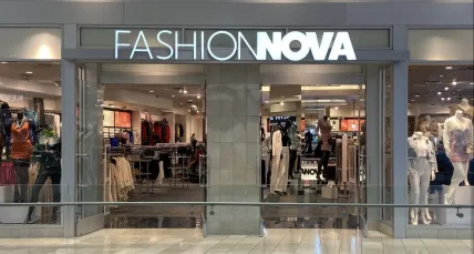 Affordable Fashion Nova Pieces That Look Expensive